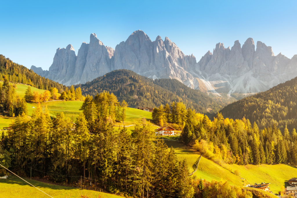 Tops De Lana Merino Heidifeathers® - ""Rojos Deslumbrantes